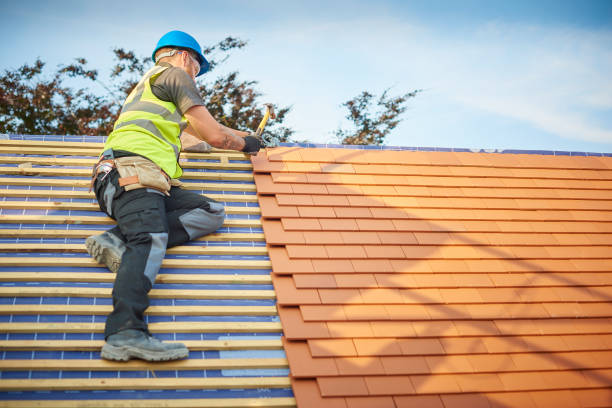Best Metal Roofing Installation  in Lake City, AR