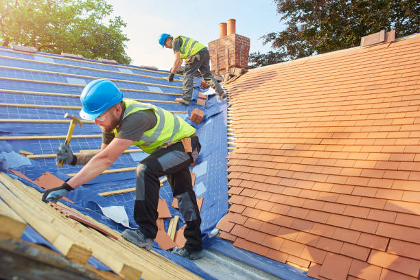 Best Metal Roofing Installation  in Lake City, AR